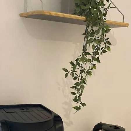 Cozy تيرانا